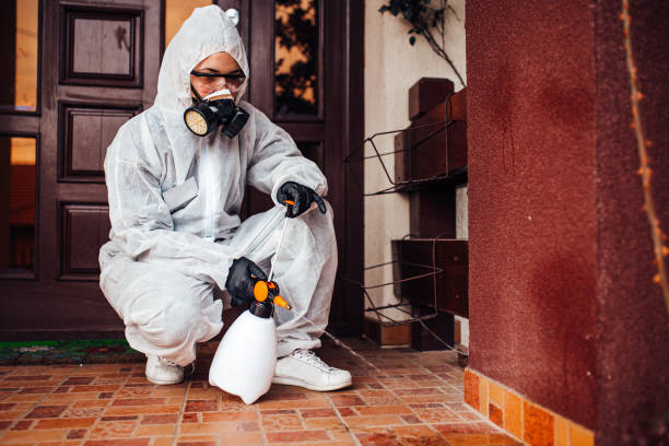 Attic and Crawl Space Rodent Treatment in Monahans