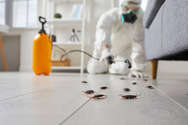 Commercial Rodent Management in Monahans
